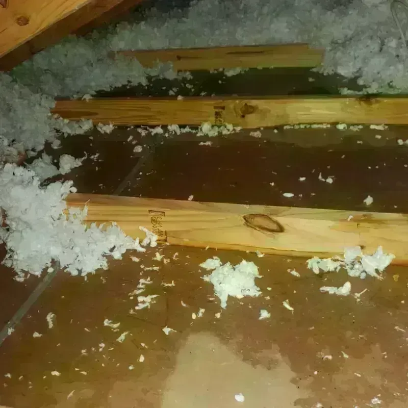 Attic Water Damage in Woodson County, KS